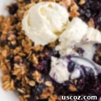 Warm Blueberry Crisp Delight 16 A silver spoon taking a bite of warm blueberry crisp with a scoop of melting vanilla ice cream.