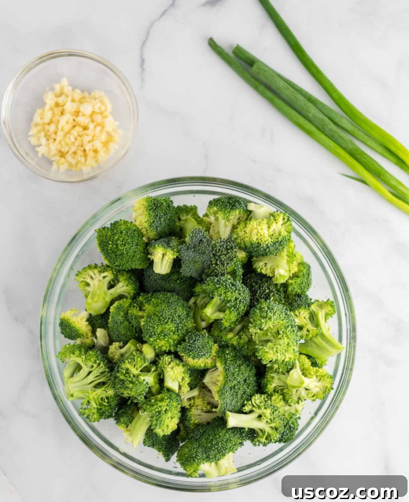 Savory Broccoli Tofu Ramen 5 fresh broccoli florets in a bowl