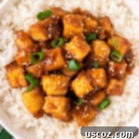 Zesty Orange Tofu 18 orange tofu over rice in a bowl