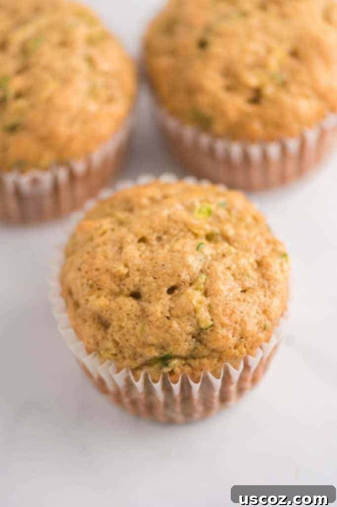 Sweet Zucchini Treats 3 Single zucchini muffin still in its liner, showcasing its golden-brown top.