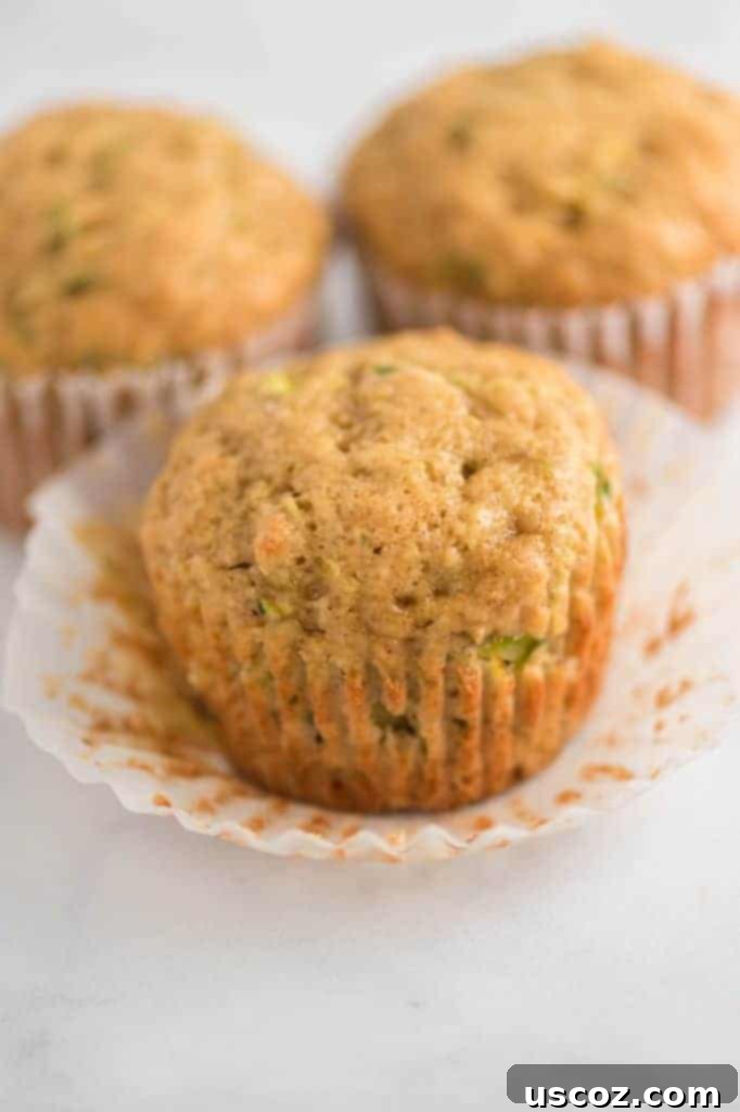 Sweet Zucchini Treats 4 A perfectly baked zucchini muffin with two more blurred in the background.