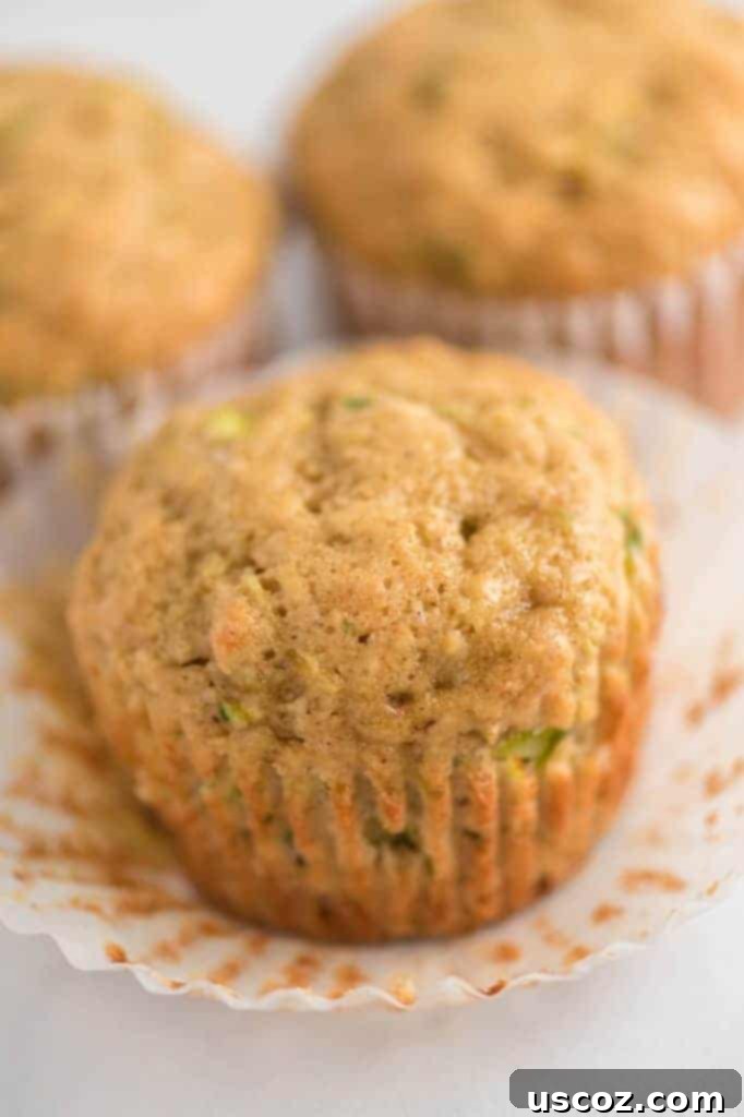 Sweet Zucchini Treats 7 Freshly baked zucchini muffin in a liner.