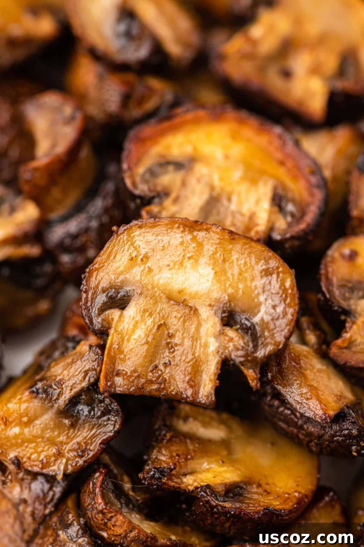 Crispy Air Fryer Mushrooms 3 up close browned mushrooms