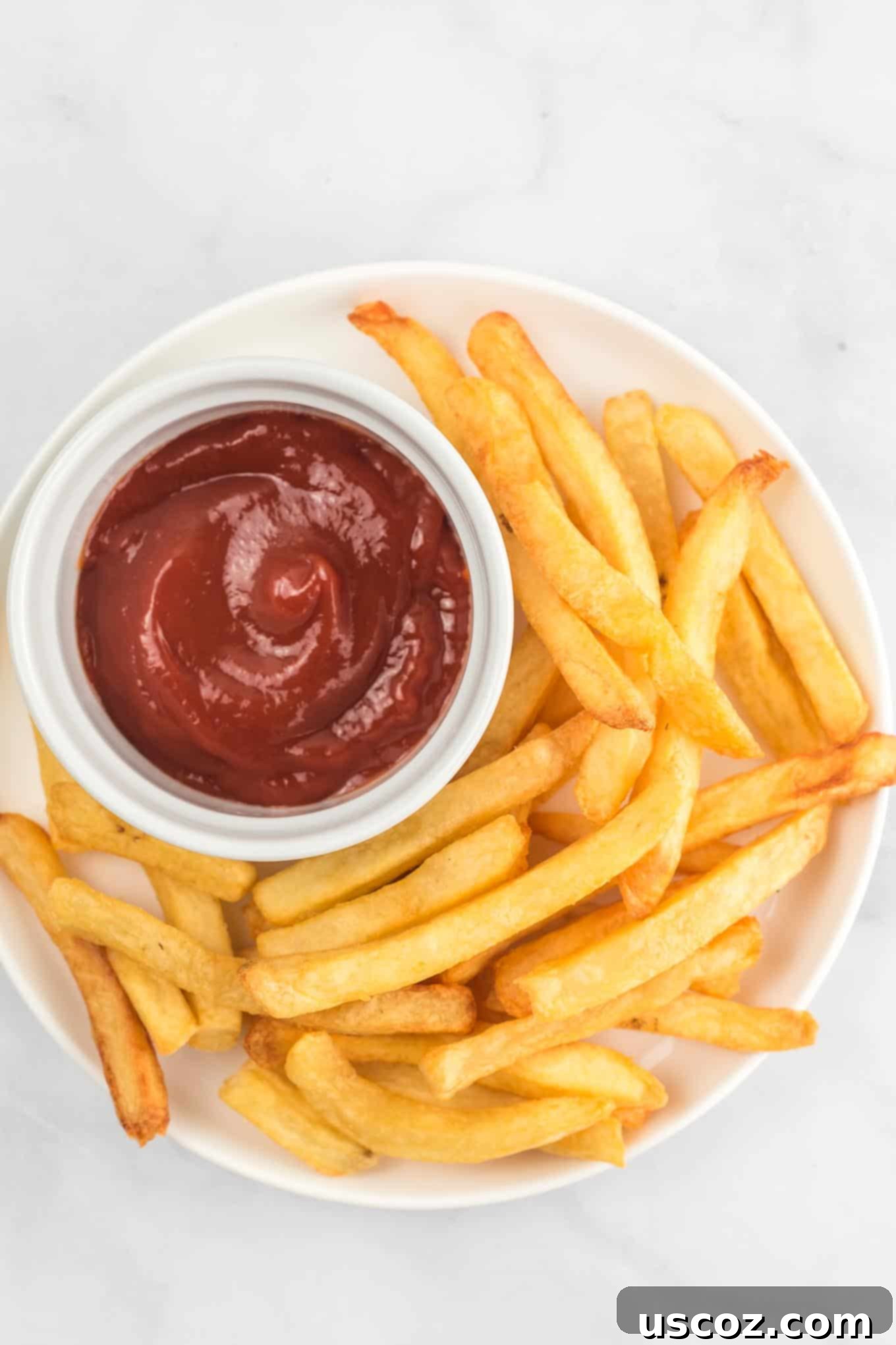 Perfectly Crispy Air Fryer Frozen Fries 5 A pristine white plate generously filled with perfectly air-fried frozen french fries, elegantly accompanied by a small ramekin of ketchup for dipping.
