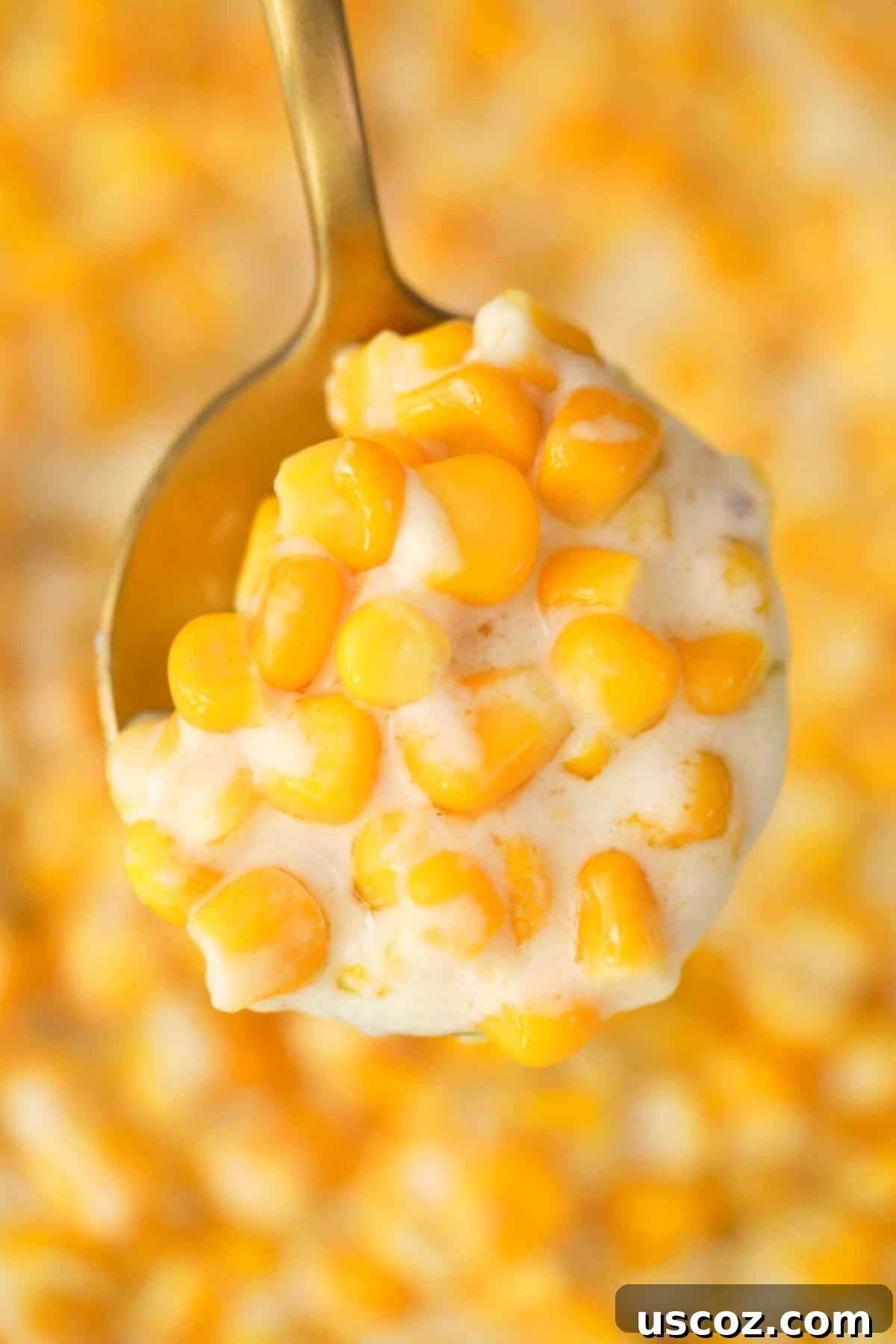 Dreamy Creamed Corn 6 A wooden spoon scooping up a generous portion of creamy, golden creamed corn, showcasing its inviting texture.