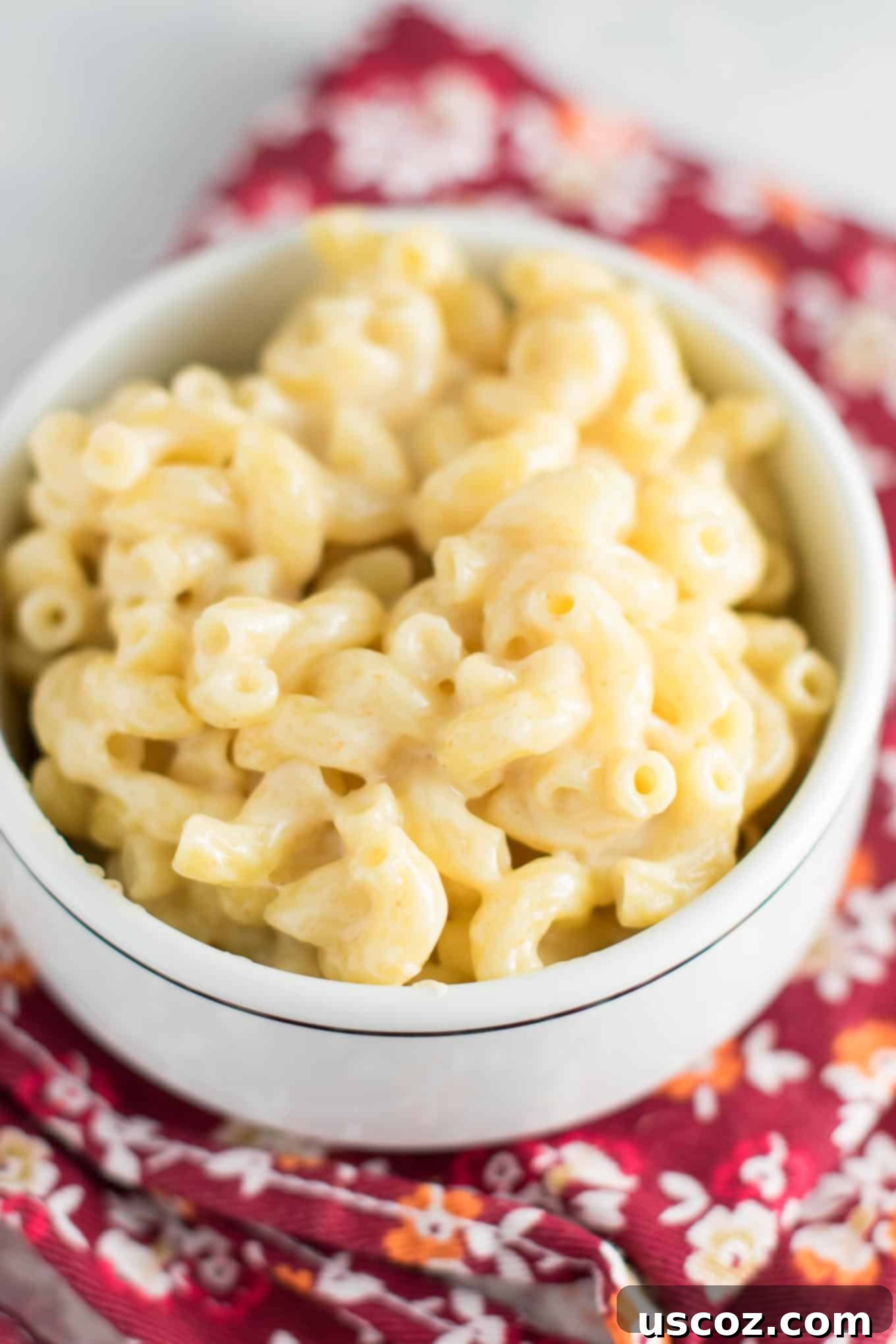 Robust Sharp Cheddar Mac and Cheese 3 close-up of creamy sharp cheddar mac and cheese with elbow macaroni