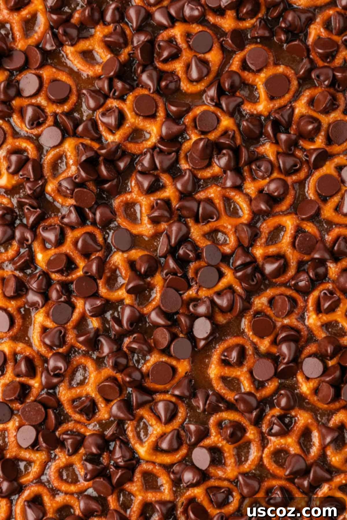 Holiday Pretzel Crunch 14 melted chocolate chips sprinkled over the toffee pretzels