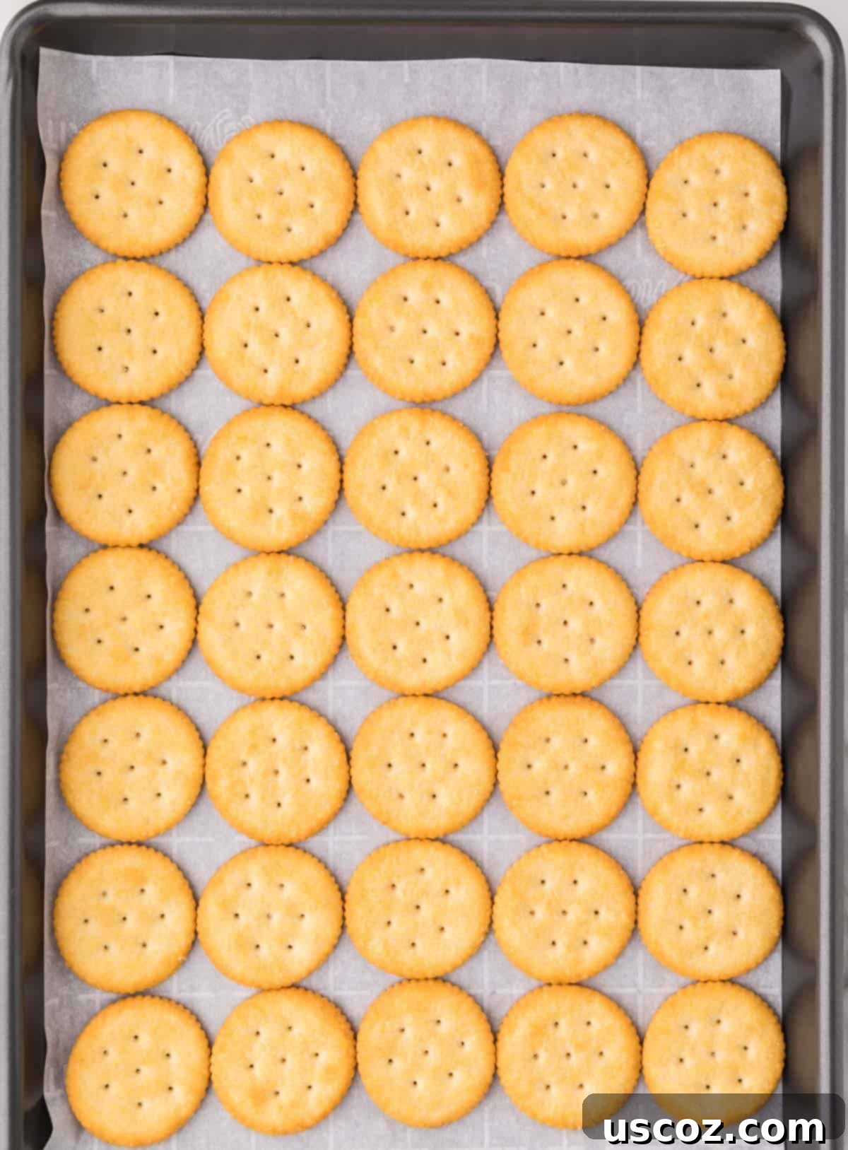 Sweet and Salty Ritz Cracker Toffee 4 Ritz crackers carefully lined up in neat rows on a baking sheet, ready for toffee.