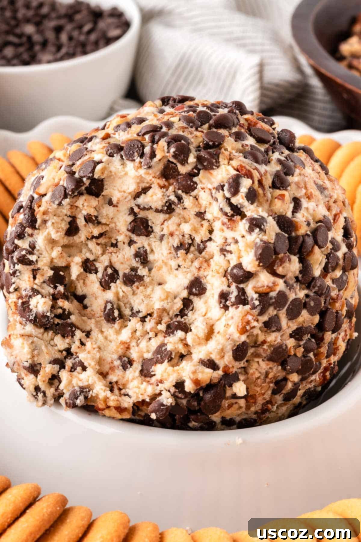 Chocolate Chip Cheese Ball Delight 2 Chocolate chip cheese ball served with Nilla wafers, ready to be enjoyed as a dessert.