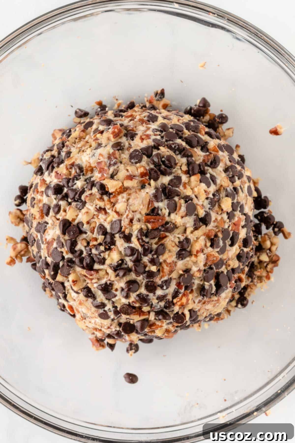 Chocolate Chip Cheese Ball Delight 13 The dessert cheese ball fully coated in mini chocolate chips and finely chopped pecans.