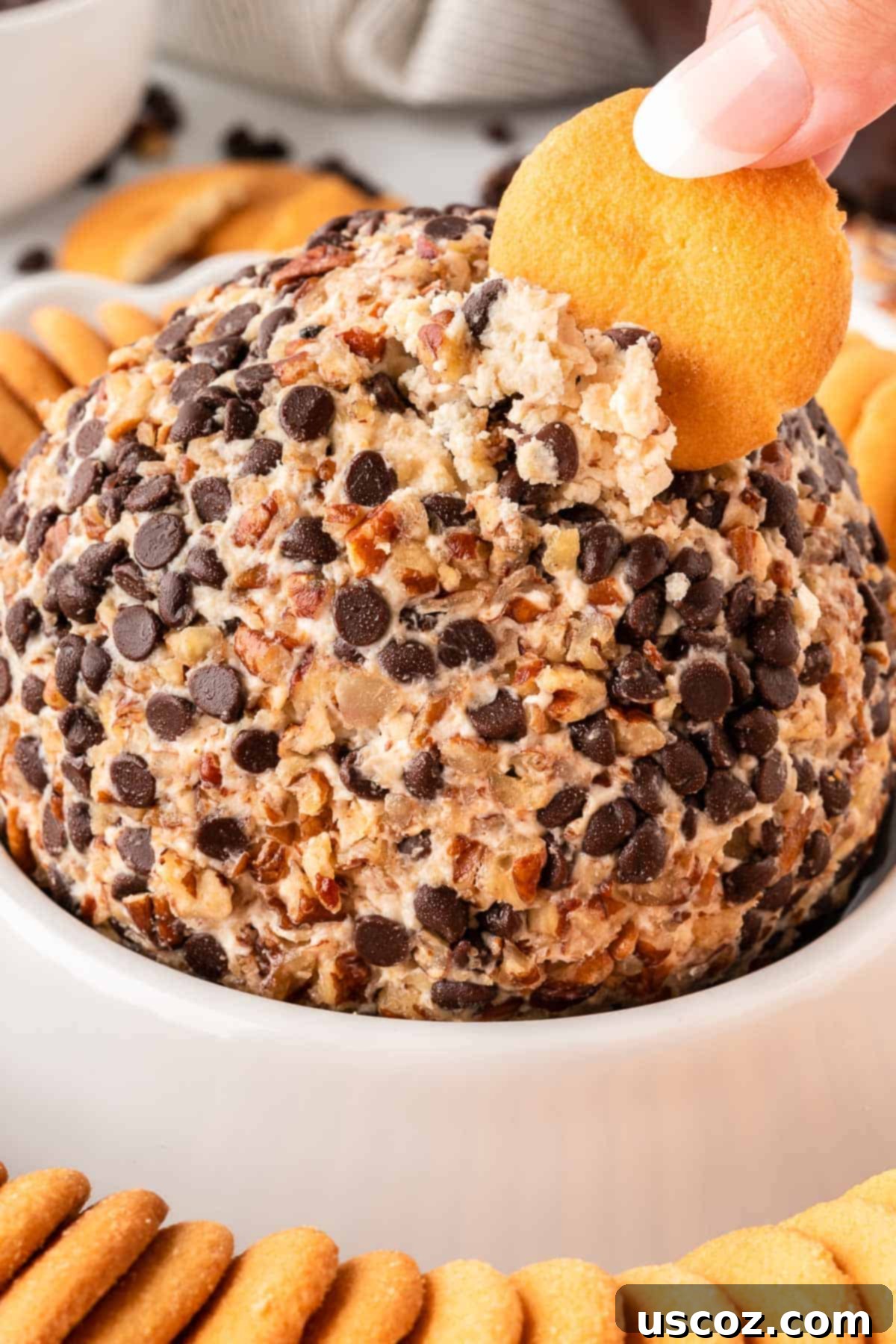 Chocolate Chip Cheese Ball Delight 15 A beautifully presented chocolate chip cheese ball surrounded by Nilla wafers and other dippers, ready for a party.