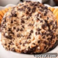 Chocolate Chip Cheese Ball Delight 16 Delicious chocolate chip cheese ball ready to serve