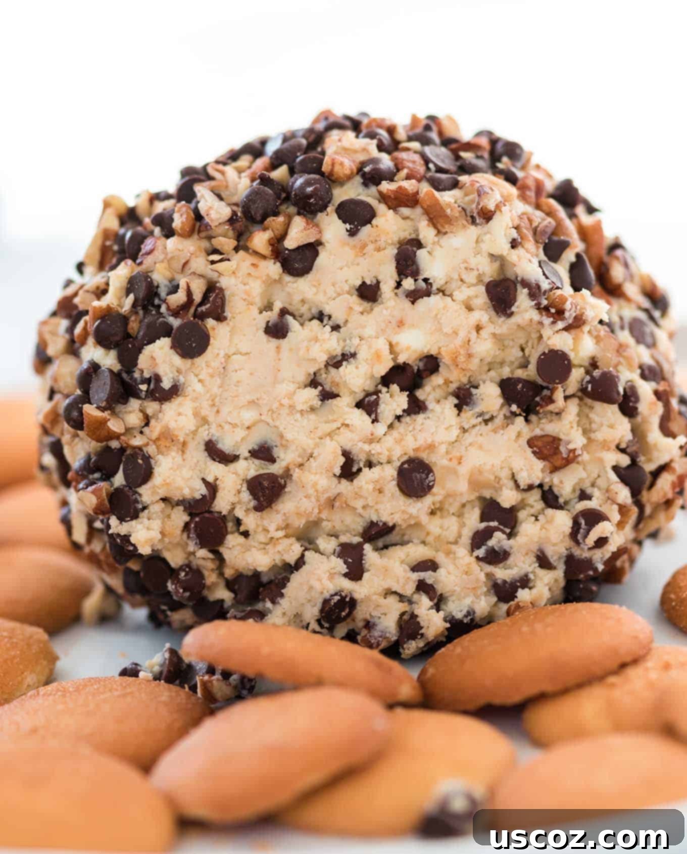 Chocolate Chip Cheese Ball Delight 17 Close-up shot of a chocolate chip dessert cheese ball, showing the creamy texture and embedded chocolate chips, with some dippers nearby.