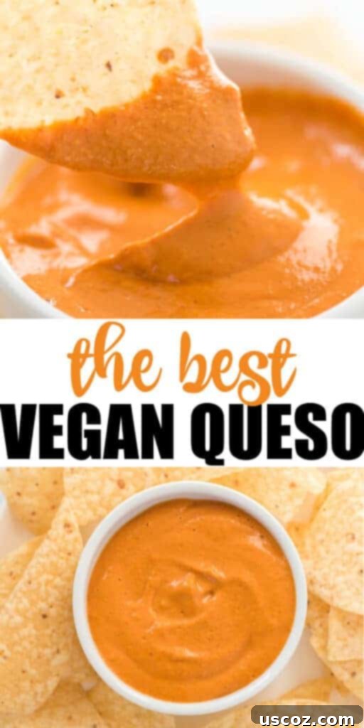 Creamy Plant-Based Queso 13 image with text "the best vegan queso"