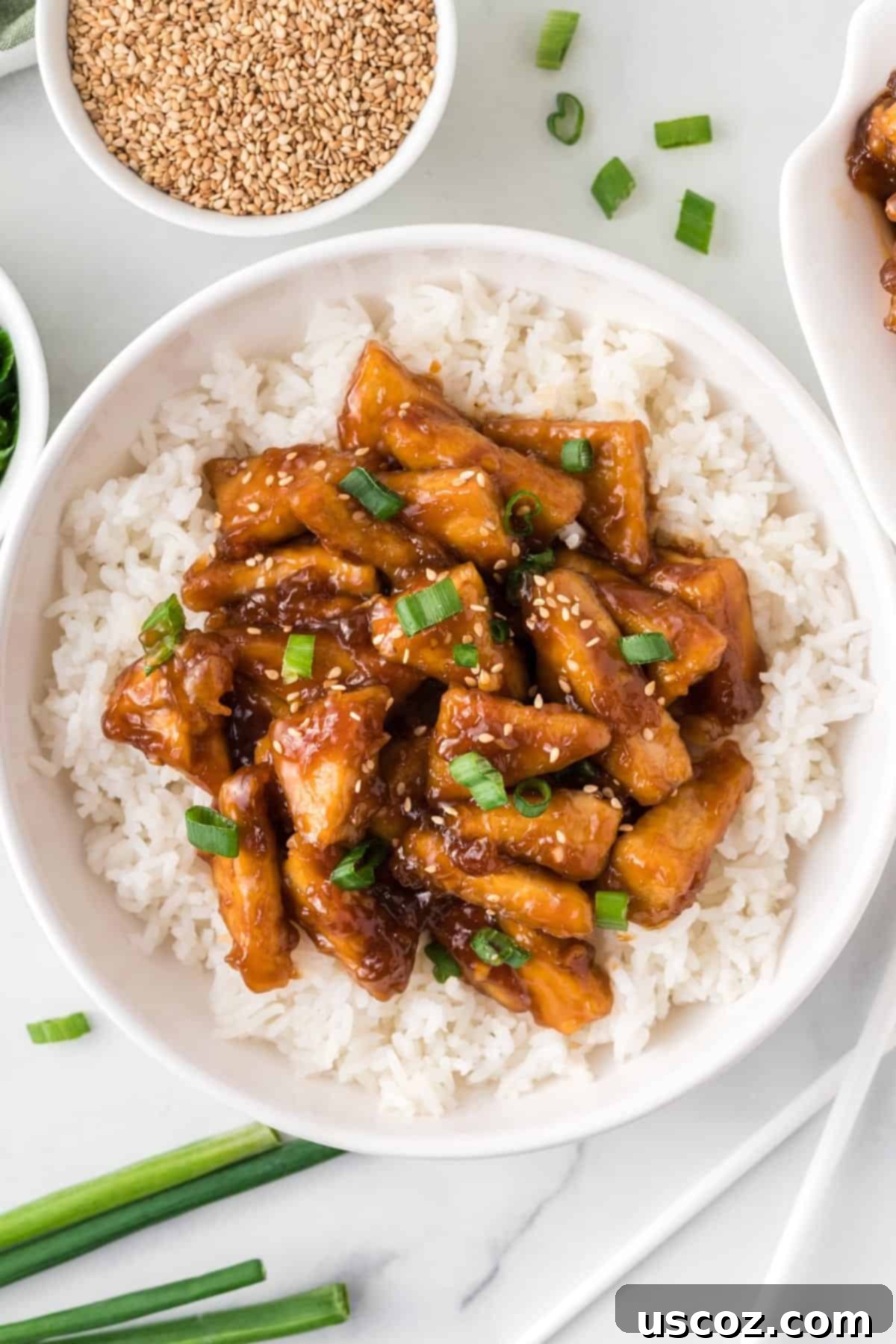 Glazed Teriyaki Tofu 2 teriyaki tofu triangles over white rice in a bowl