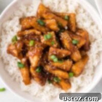 Glazed Teriyaki Tofu 18 teriyaki tofu triangles over white rice in a bowl