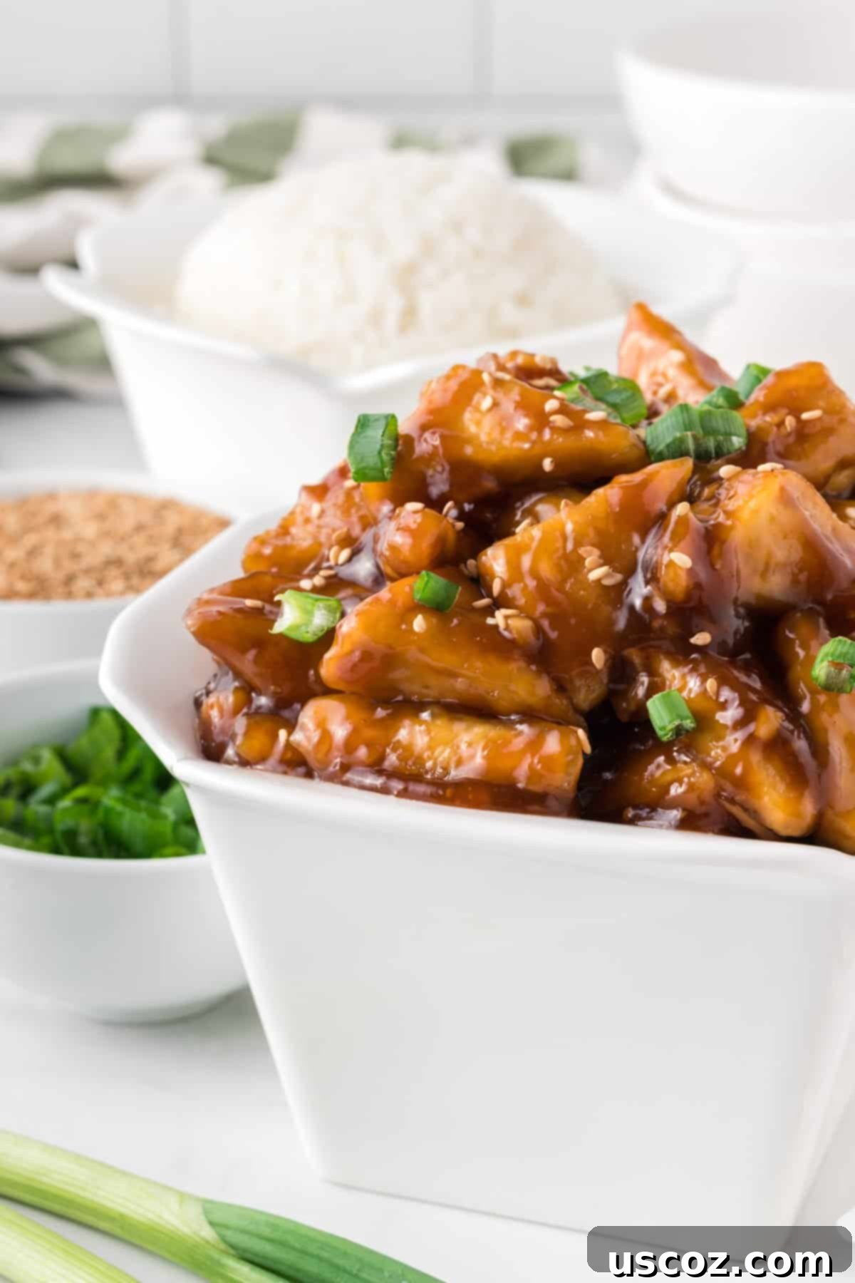Glazed Teriyaki Tofu 3 takeout container filled with teriyaki tofu