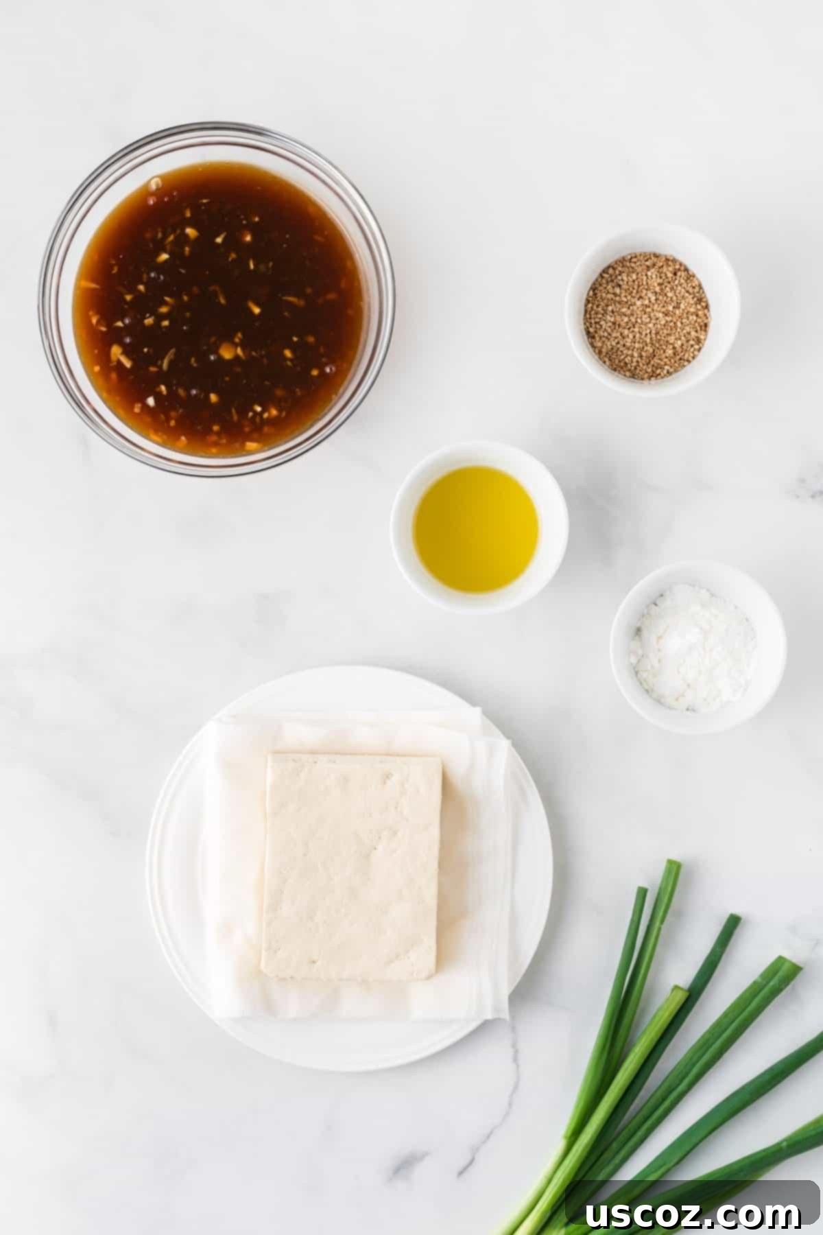 Glazed Teriyaki Tofu 4 ingredients needed to make teriyaki tofu