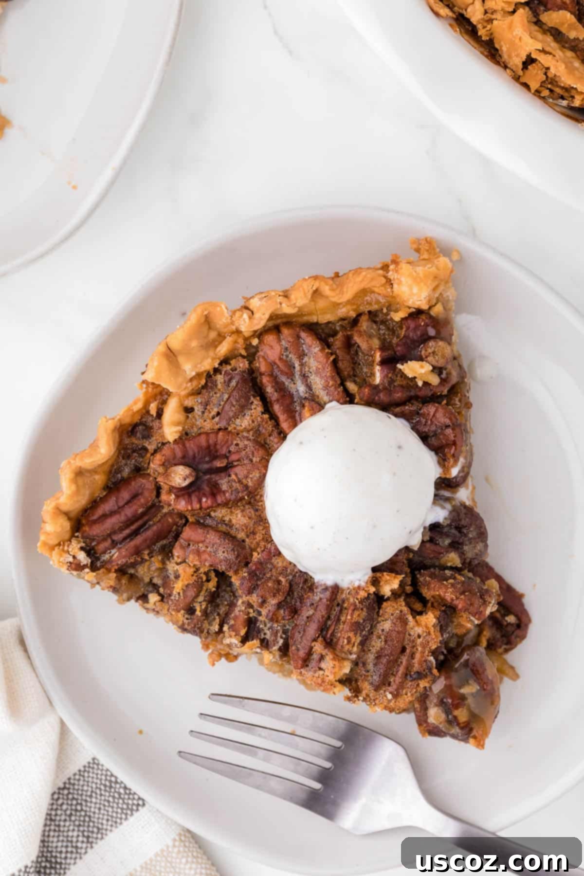 Sweet Maple Pecan Perfection 10 slice of maple pecan pie topped with a scoop of ice cream