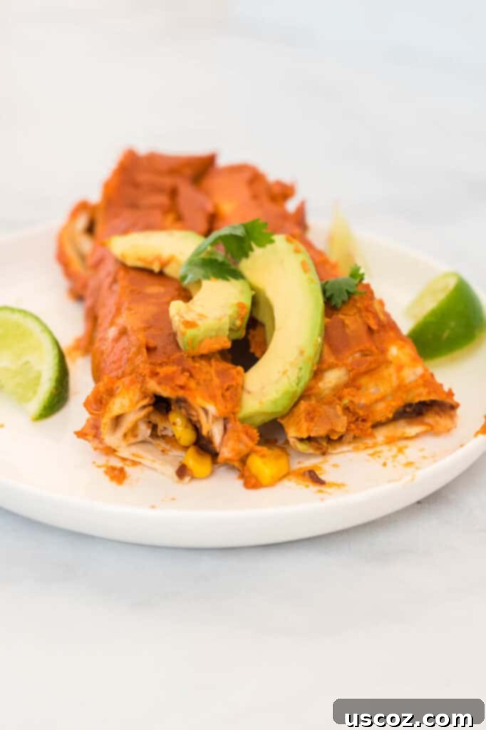 Ultimate Plant-Based Enchiladas 11 two enchiladas on a white plate topped with avocado and cilantro, with limes on the side