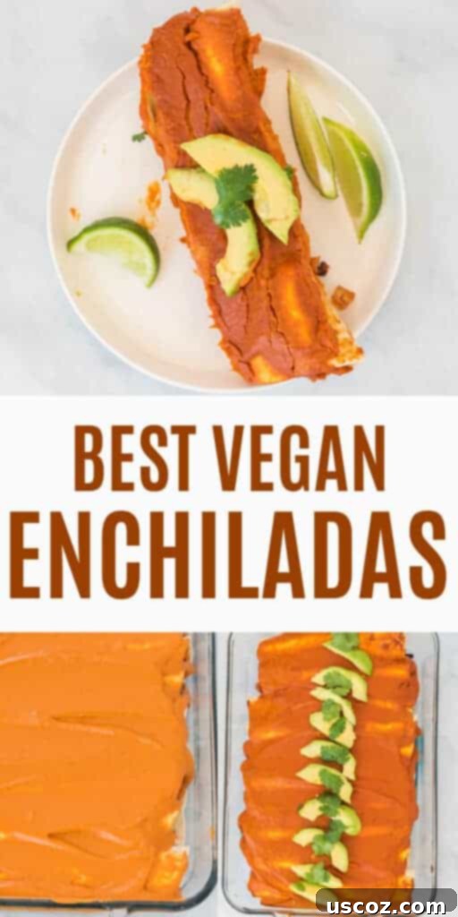 Ultimate Plant-Based Enchiladas 13 image with text "best vegan enchiladas"