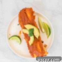 Ultimate Plant-Based Enchiladas 14 two enchiladas on a white plate topped with avocado and cilantro, with limes on the side