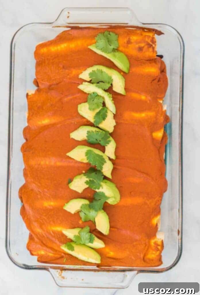 Ultimate Plant-Based Enchiladas 8 baked vegan enchiladas topped with sliced avocado and cilantro