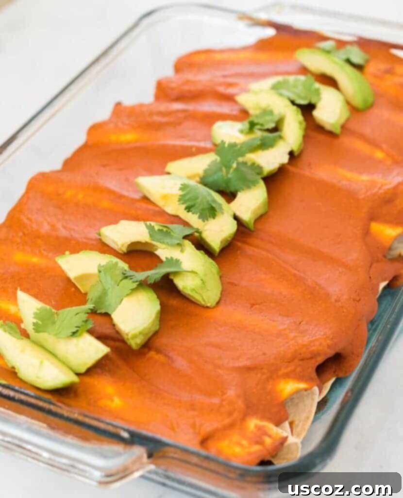 Ultimate Plant-Based Enchiladas 9 baked vegan enchiladas topped with sliced avocado and cilantro