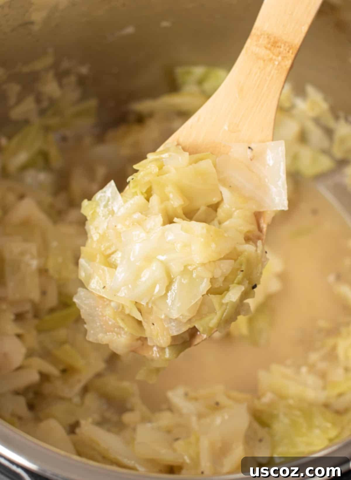 Savory Instant Pot Cabbage 2 Buttery Instant Pot Cabbage served as a delicious side dish