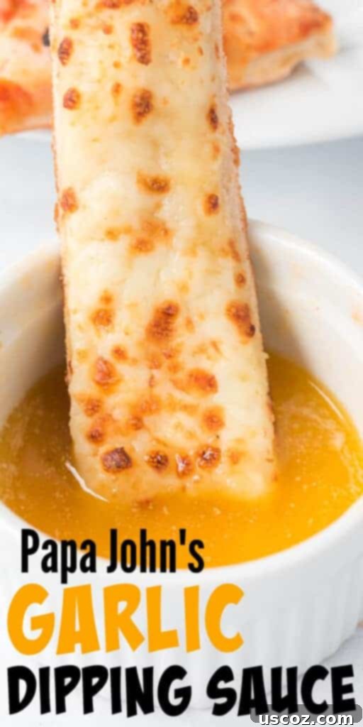 Flavorful Garlic Dip 6 Image with text