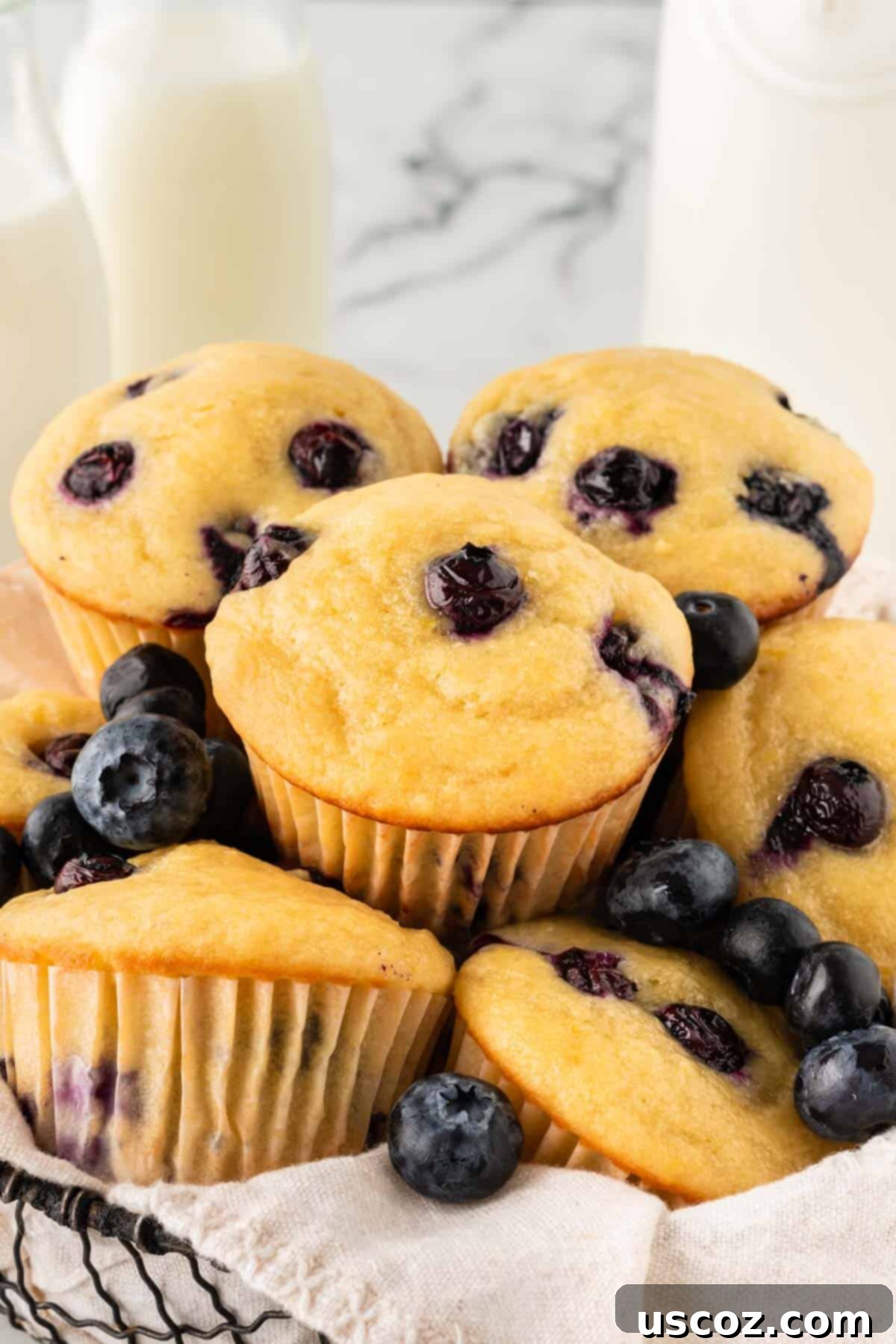 Blueberry Greek Yogurt Delights 2 fluffy greek yogurt blueberry muffins