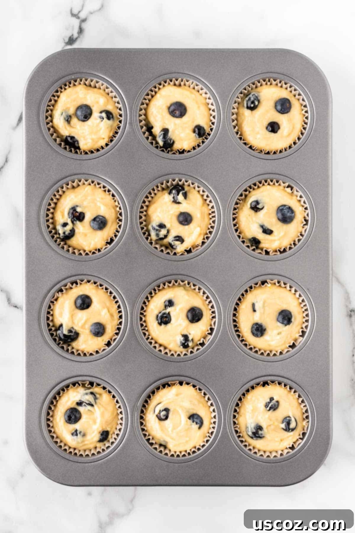 Blueberry Greek Yogurt Delights 12 filling muffin tins with muffins batter