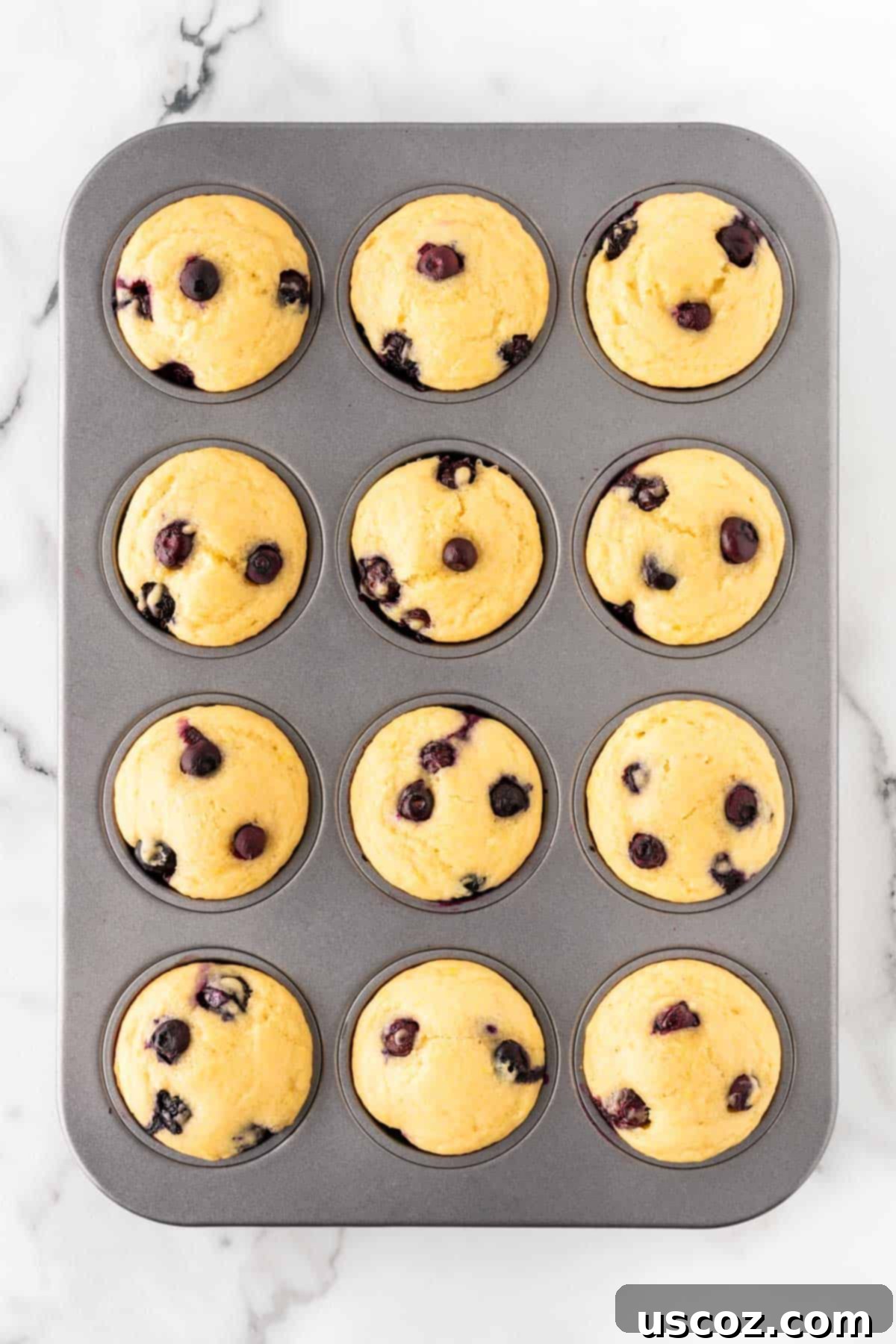 Blueberry Greek Yogurt Delights 13 greek yogurt blueberry muffins in the pan