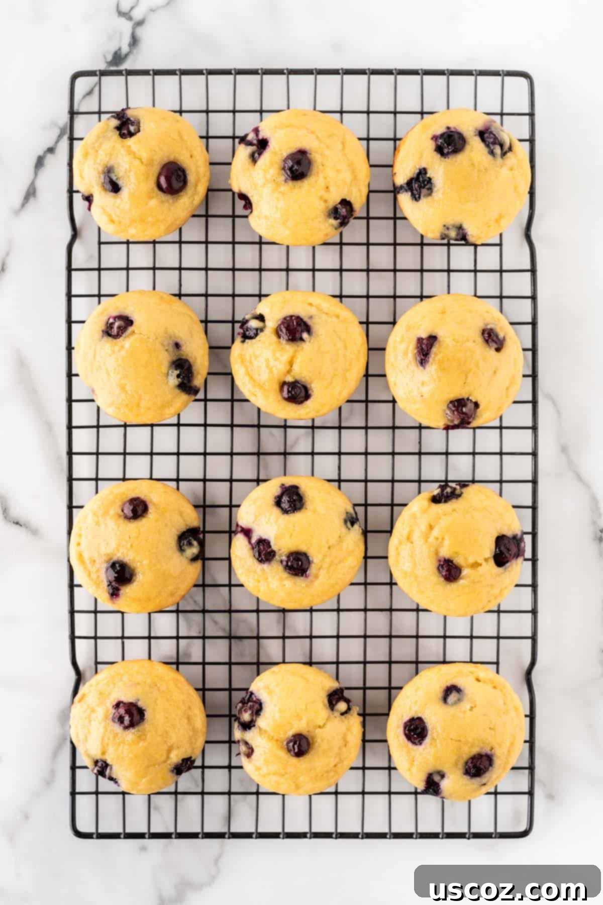 Blueberry Greek Yogurt Delights 14 yogurt blueberry muffins on a cooling rack