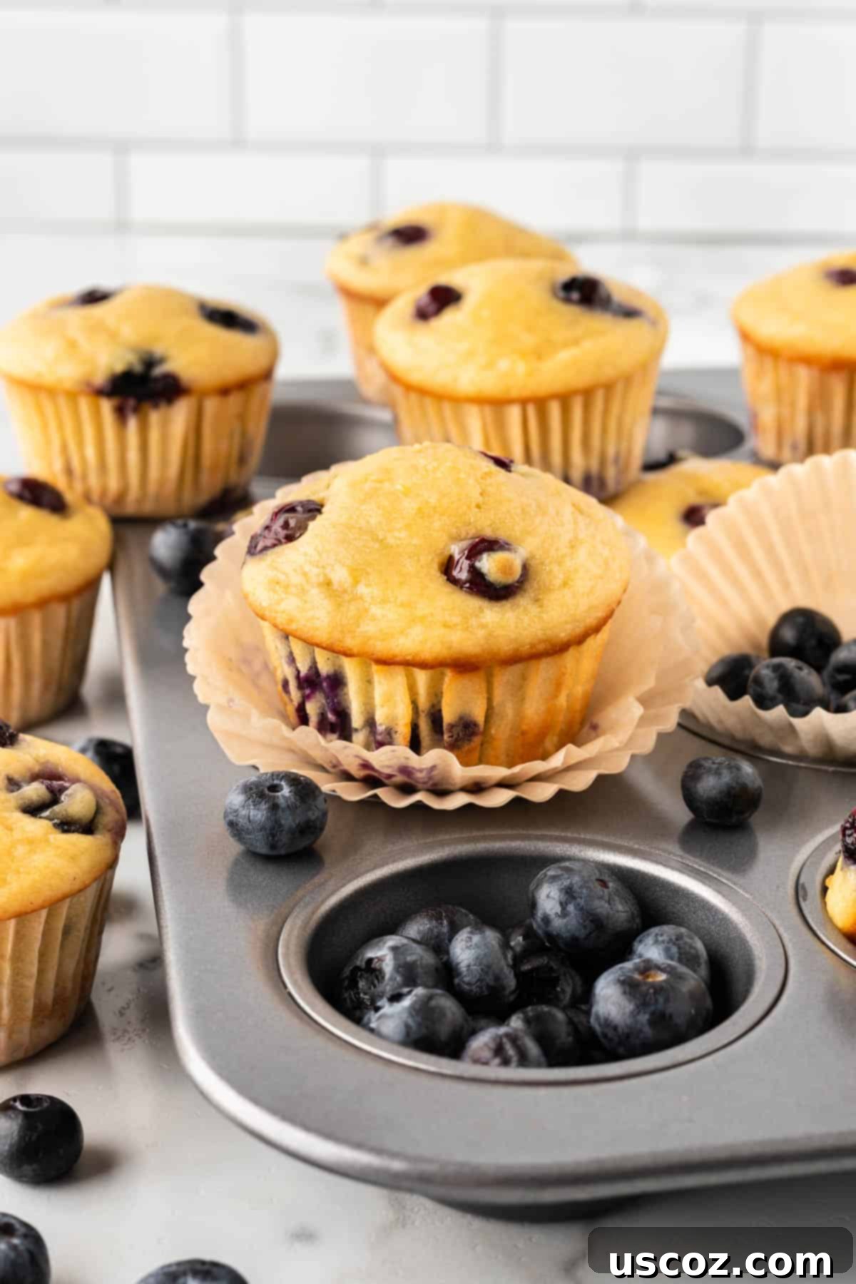 Blueberry Greek Yogurt Delights 15 greek yogurt blueberry muffins in the pan