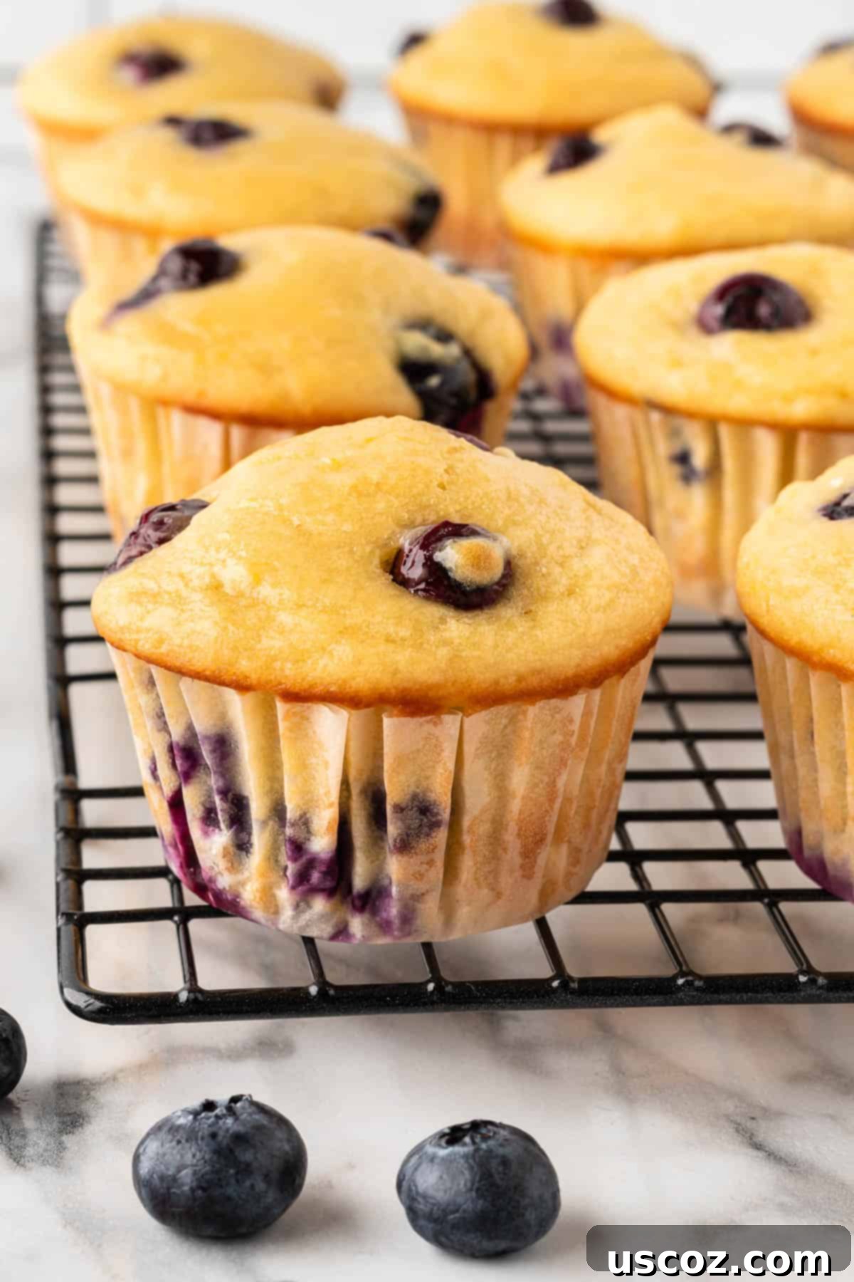 Blueberry Greek Yogurt Delights 17 yogurt blueberry muffins on a cooling rack
