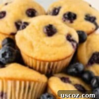 Blueberry Greek Yogurt Delights 18 fluffy greek yogurt blueberry muffins