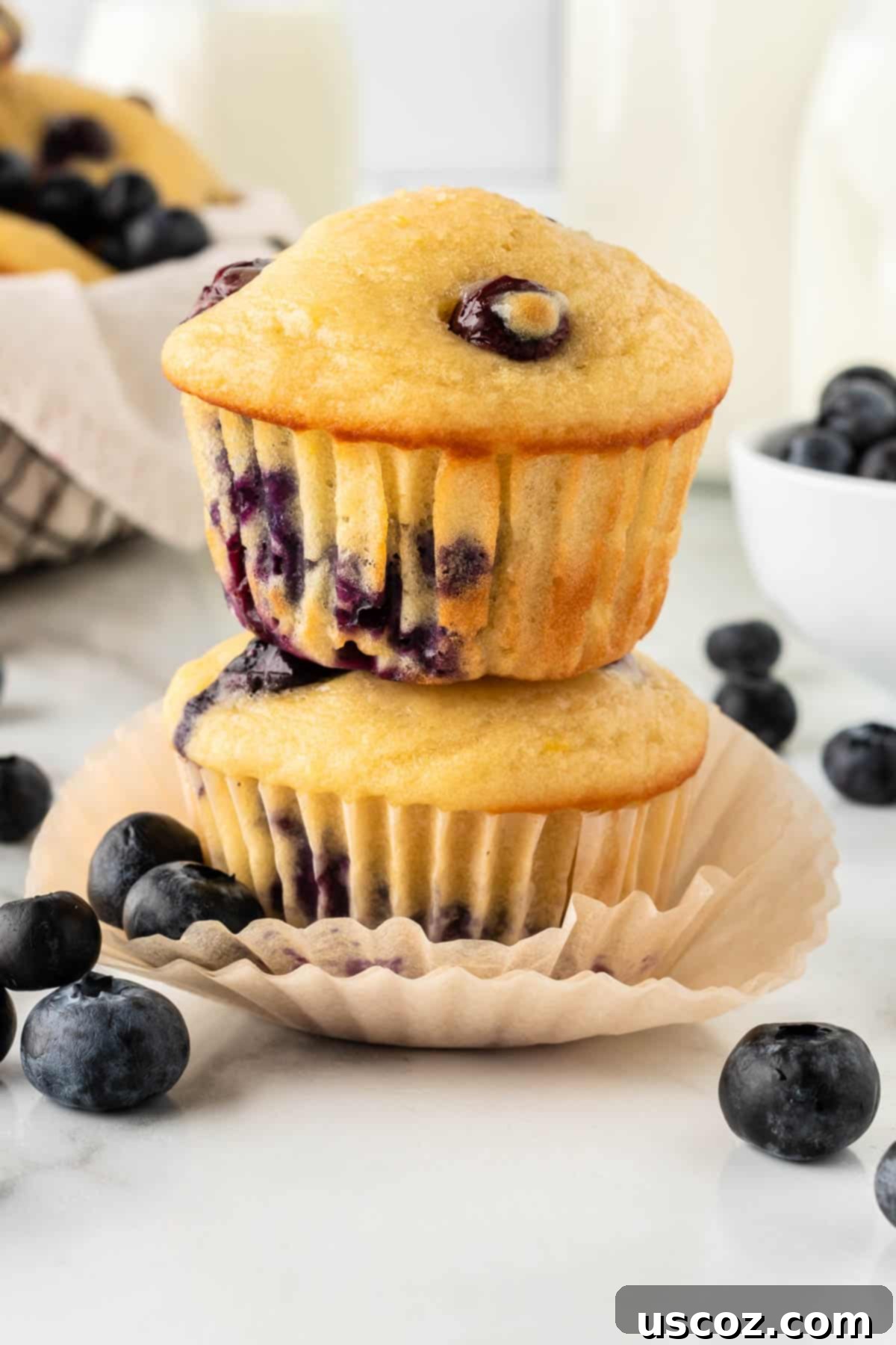 Blueberry Greek Yogurt Delights 3 two yogurt blueberry muffins stacked