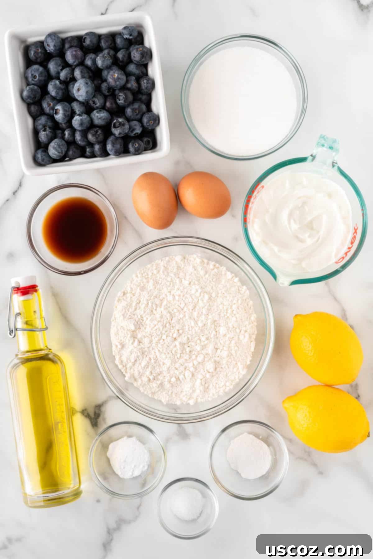 Blueberry Greek Yogurt Delights 4 ingredients needed to make yogurt blueberry muffins