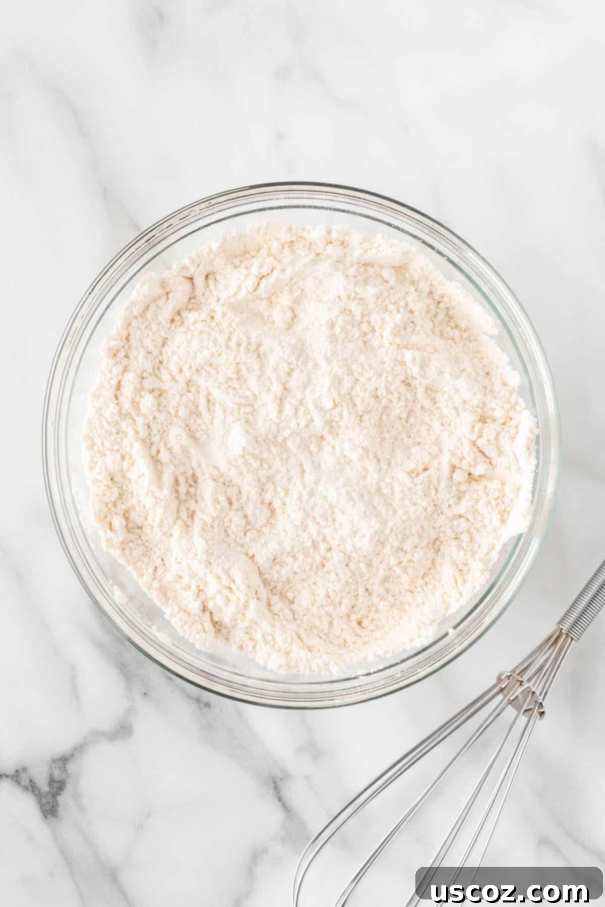 Blueberry Greek Yogurt Delights 5 dry ingredients in a bowl