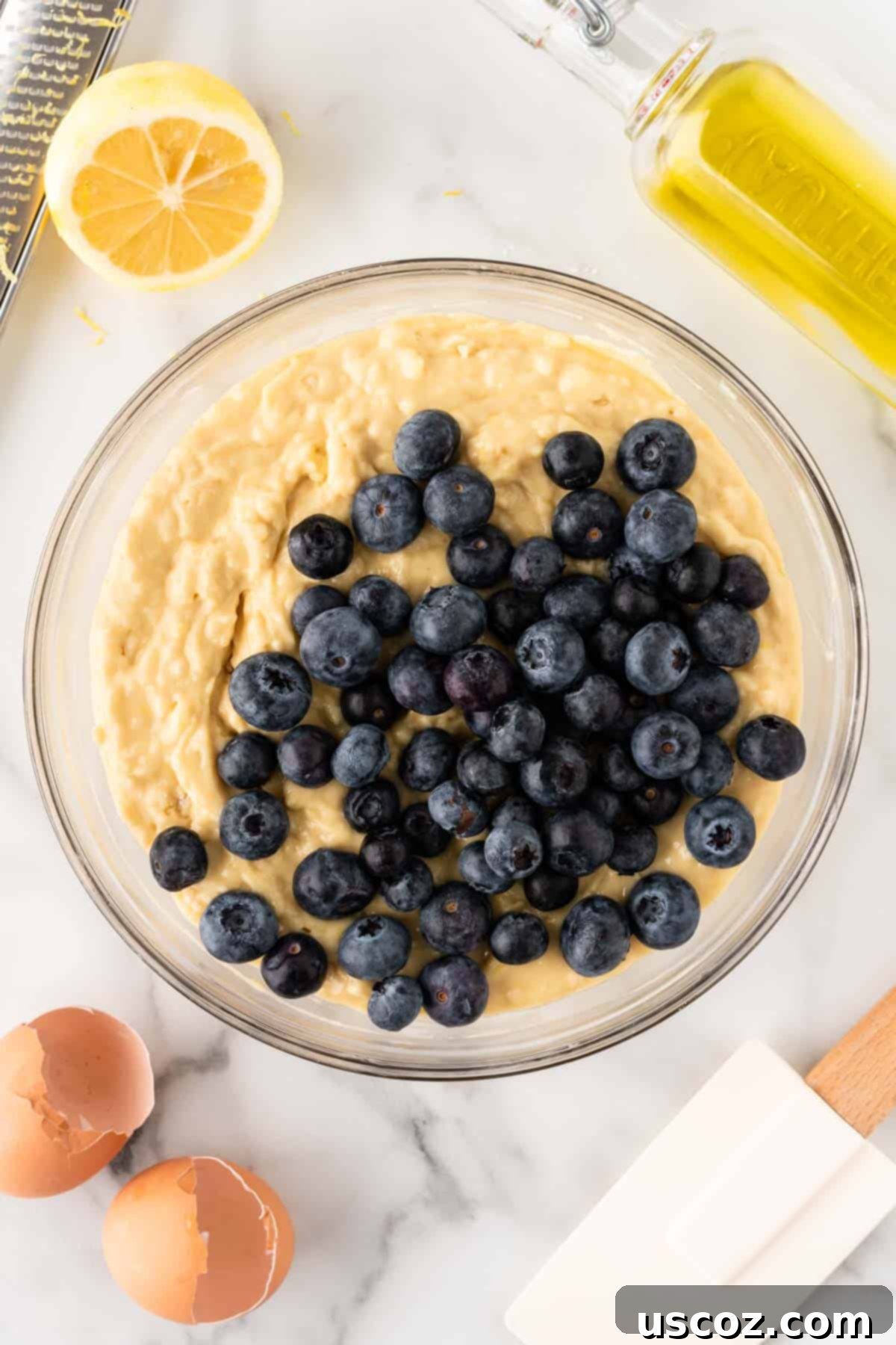 Blueberry Greek Yogurt Delights 10 adding the fresh blueberries
