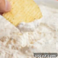 Dip Into Deliciousness 13 dipping a chip into sour cream dip