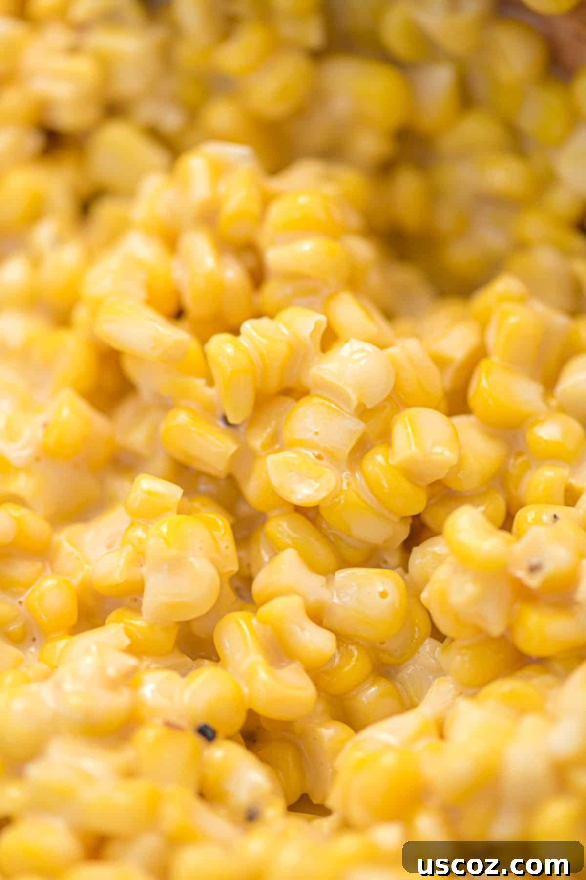 Sweet and Buttery Skillet Corn 3 honey butter skillet corn