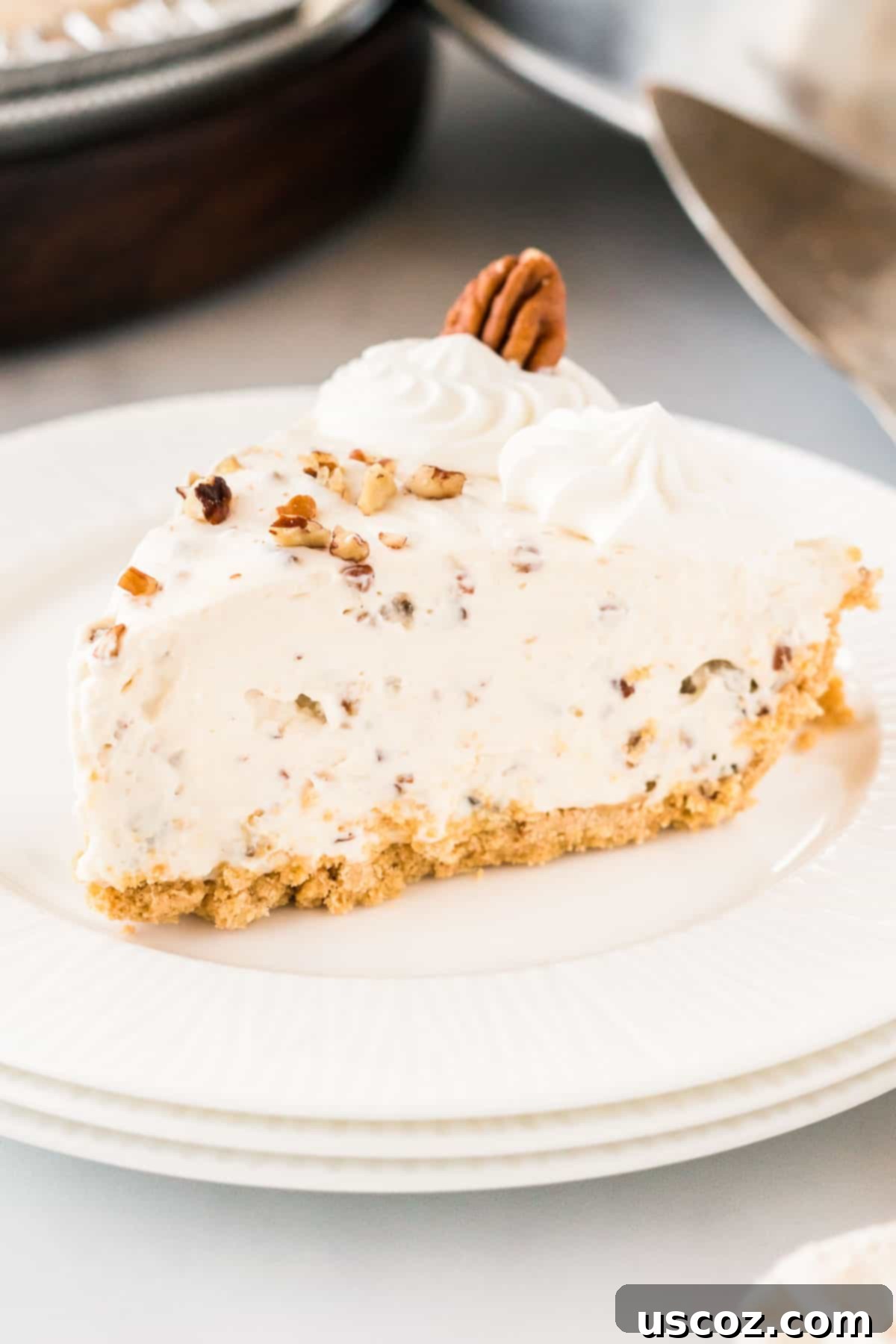 Velvet Pecan Delight 2 A perfectly sliced pecan cream pie on a white plate, showcasing its creamy filling and pecan topping.