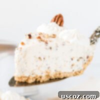 Velvet Pecan Delight 11 pecan cream pie slice