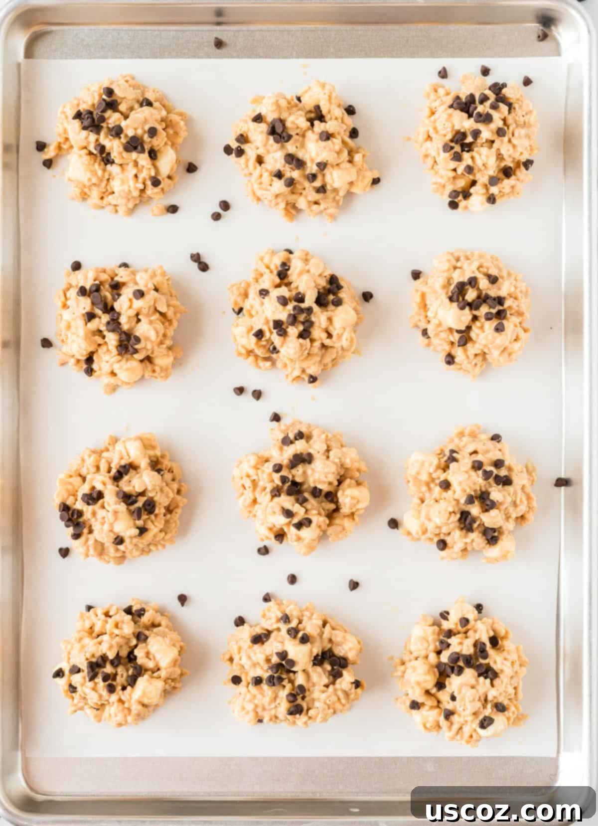 Summit Cookies 12 avalanche cookies topped with mini chocolate chips