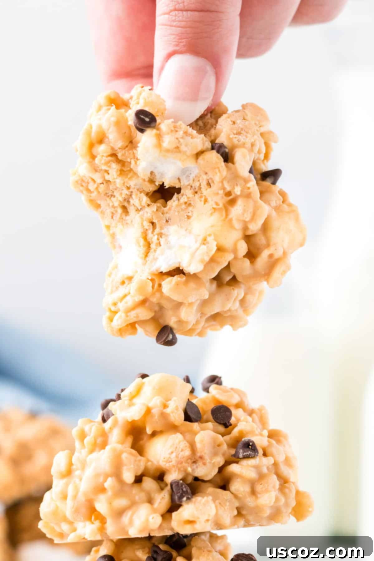 Summit Cookies 14 avalanche cookie with a bite taken out