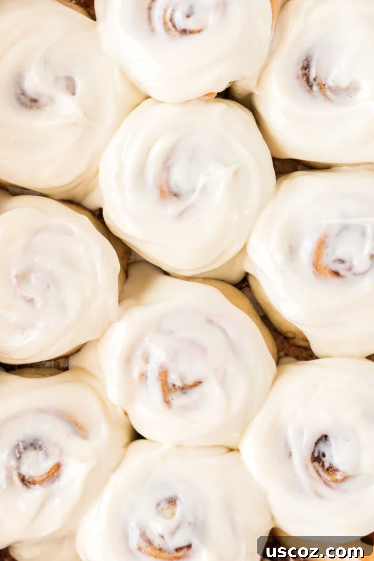 Effortless Cinnamon Swirls 16 beautifully frosted cinnamon rolls with cream cheese icing, close up