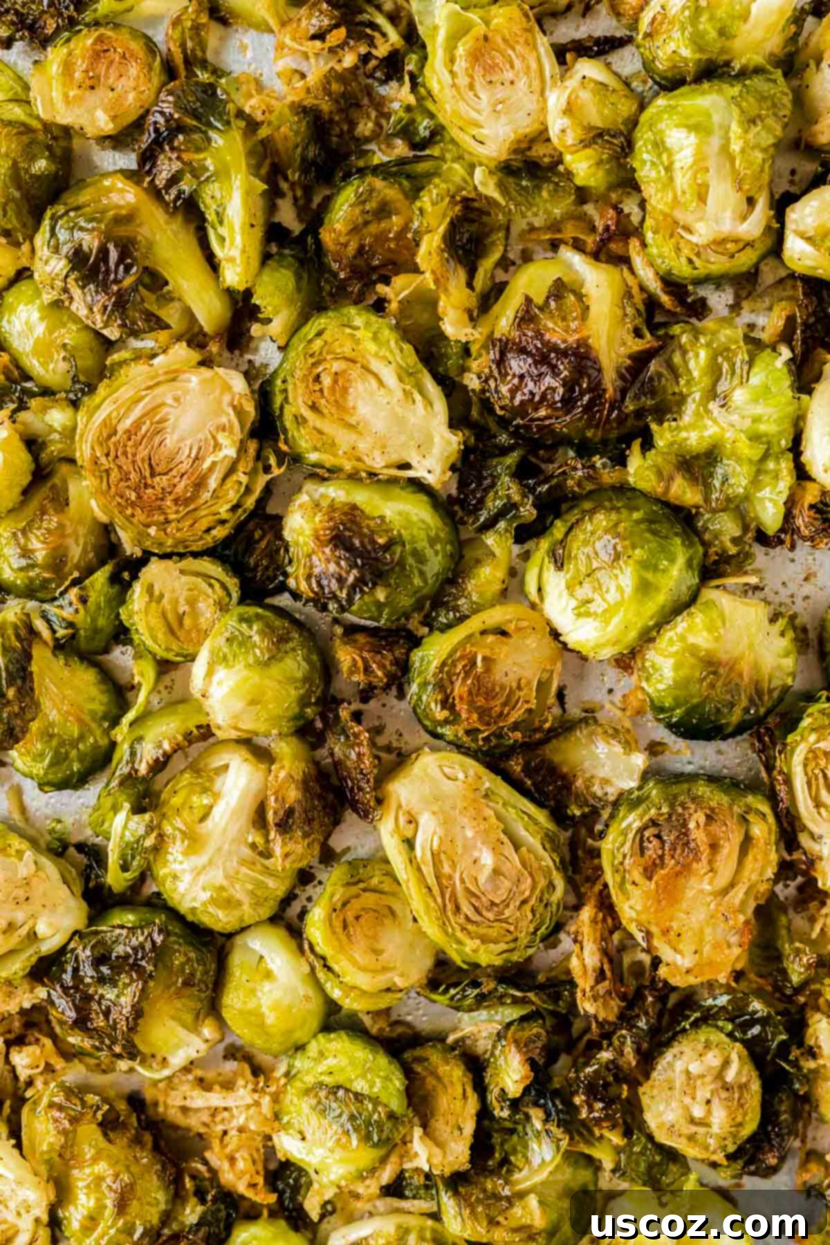 Parmesan Roasted Brussels Sprouts 2 parmesan roasted brussels sprouts, a close-up of crispy, golden-brown brussels sprouts with melted parmesan cheese on a baking sheet.