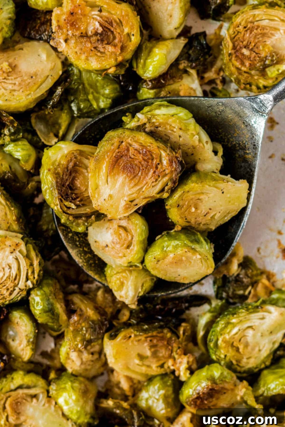 Parmesan Roasted Brussels Sprouts 3 parmesan roasted brussels sprouts, a serving dish filled with golden-brown, crispy brussels sprouts with Parmesan
